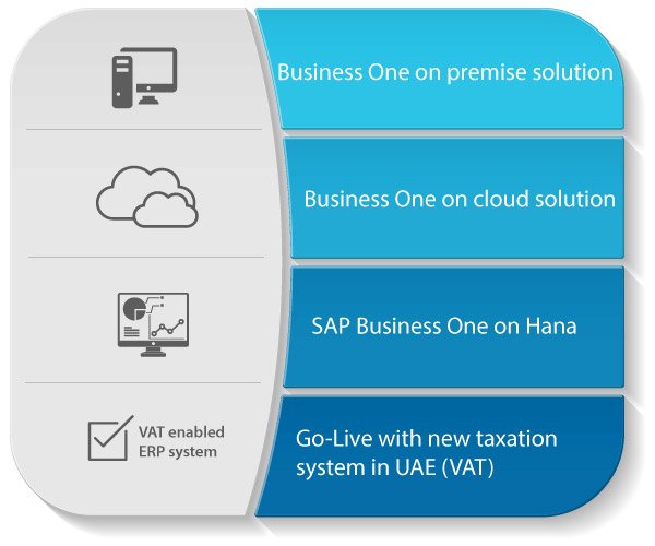 SAP Business One Features