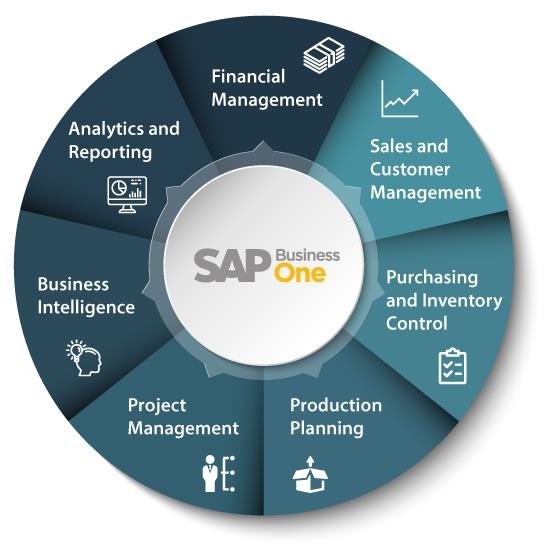 SAP Business One Features