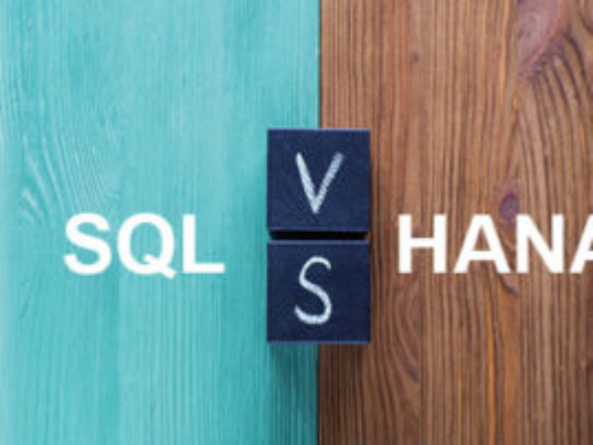 Comparison Of Sap Business One On Ms sql vs hana