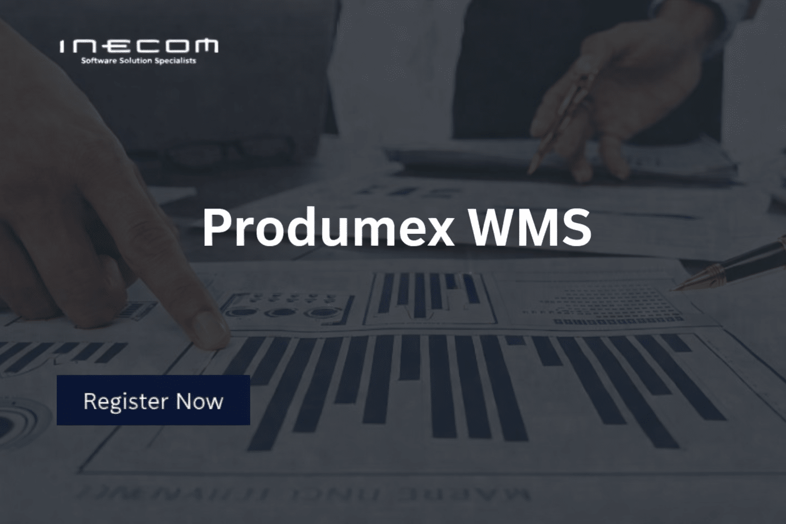 produmex wms